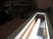 IMG_0021