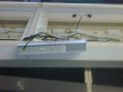 IMG00203-20090928-1519