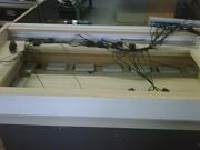IMG00209-20090928-1520