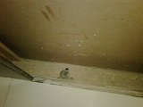 IMG00163-20090924-2041