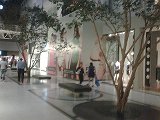 IMG00181-20090924-2053