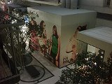IMG00184-20090924-2059