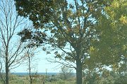 IMG_3708