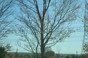 IMG_3709