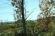 IMG_3710