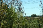 IMG_3711