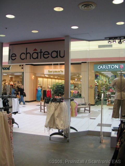 Original image