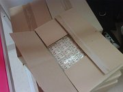 IMG00091-20090706-1610