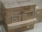 Reitmans223-20090402-1726