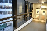 IMG_6979